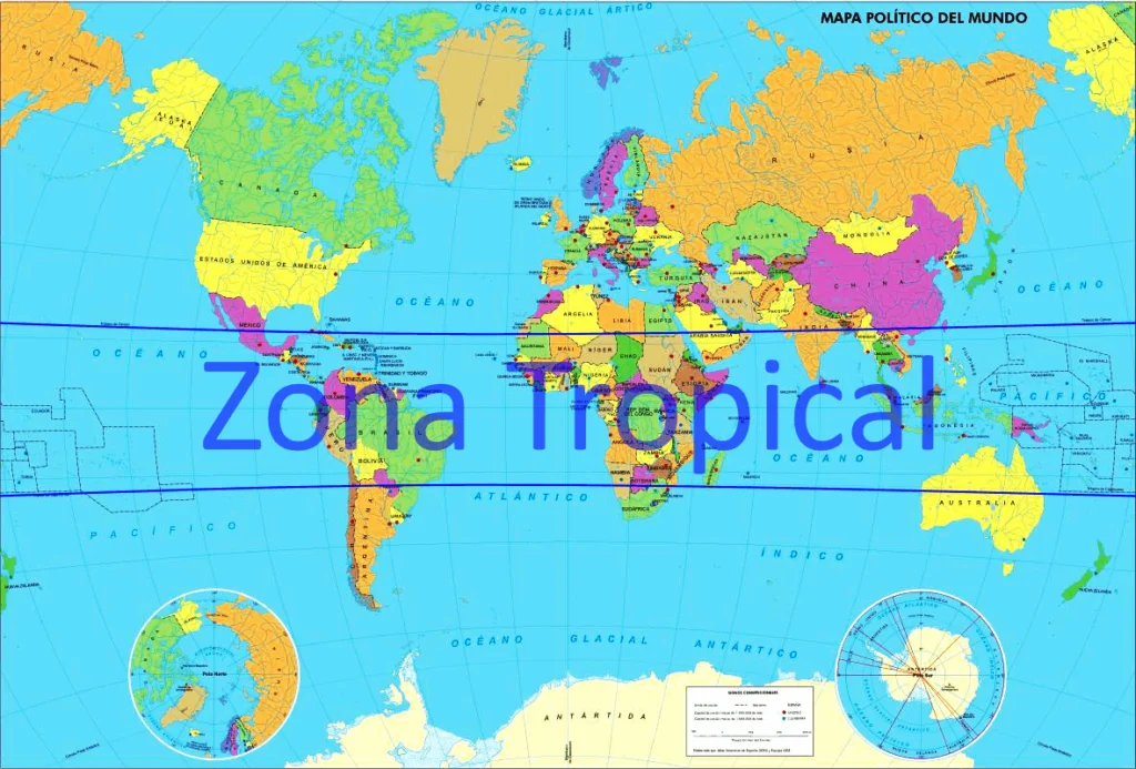 Concentración de las abejas nativas sin aguijón por territorio