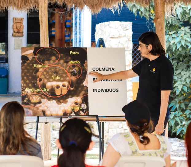 Conócenos - Melipona Guardiana