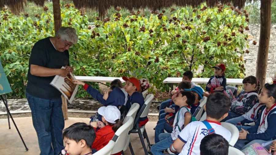 Educando para el futuro - Melipona Guardiana
