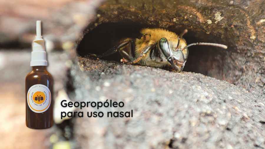 Geopropóleo nasal extracto de abejas melipona