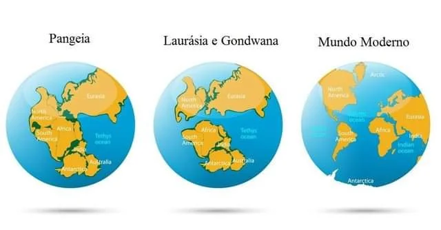 Movimiento de3 las abejas meliponas por el mundo