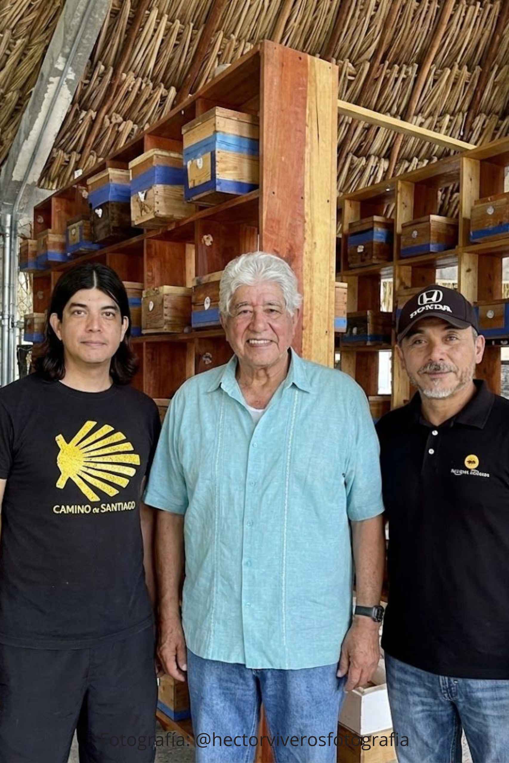 Sección Experiencias 7 - Melipona Guardiana