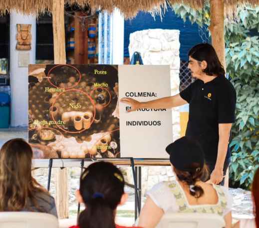 ¿Quiénes somos - Melipona Guardiana (3)